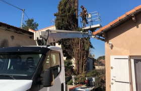 Abattage d'arbre