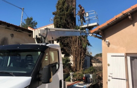 Abattage effectué avec succès sur la commune de Marseille, plan de Cuques