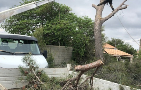 Abattage d’un pain, 