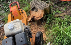 Rognage de souche sur Carry le rouet