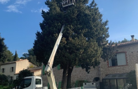 Abattage, délicat effectué sur la commune de la gavotte