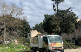 Abattage, délicat effectué sur la commune de la gavotte